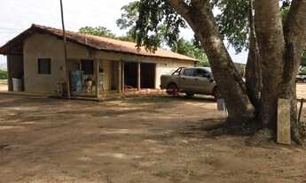 Imagem 7: Fazenda para Soja + pivô em Santa Rosa ,Tocantins, com 945 hectares
