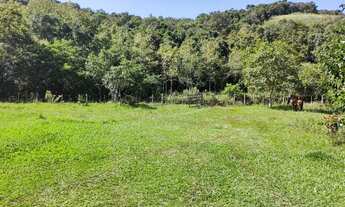 Imagem 7: Chácara pronta pra morar em Rio dos Índios RS