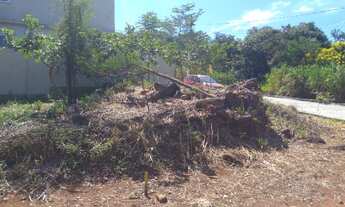 Imagem 5: Terreno na ilha de Guaratiba
