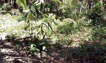 Imagem 5: Vendo 2 linhas de terra