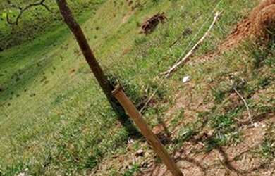 Imagem 6: Terrenos bem localizados em Igaratá