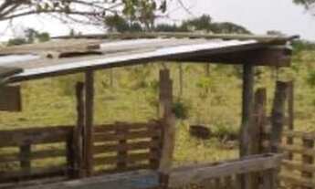 Imagem 7: Chácara no MS040 à 32 km de Campo Grande 800 metros do asfalto