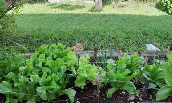 Imagem 5: CASA RESIDENCIAL em JUNDIAÍ - SP, VILA PROGRESSO