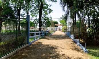 Imagem 2: Aparecida de Goiânia - Chácara - VIRGINIA PARQUE