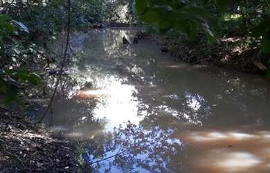 Imagem 2: Chácara à venda, Rural, Jequitibá, MG