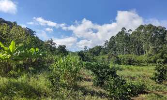 Imagem 3: Chácara pronta pra morar em Rio dos Índios RS