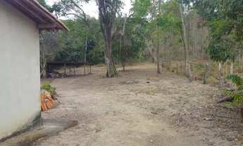 Imagem 4: Sitio com sede, pomar, nascente, reserva de mata, cercado