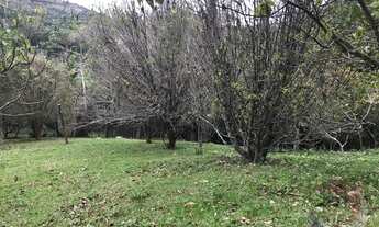 Imagem 5: Terreno para Venda em Florianópolis, Vargem Grande