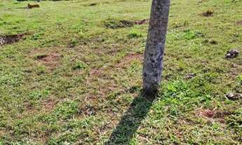 Imagem 4: Adquira seu terreno sem nenhuma burocracia pague parcelado em até 60x