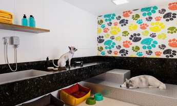 Imagem 3: Vitória - Apartamento Padrão - BARRO VERMELHO