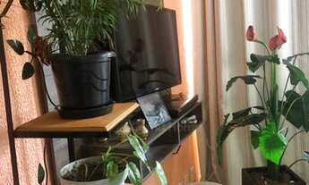 Imagem 4: Vila Velha - Apartamento Padrão - Coqueiral De Itaparica