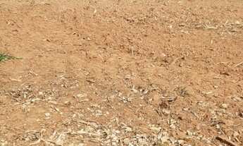 Imagem 6: Sítio em Tietê