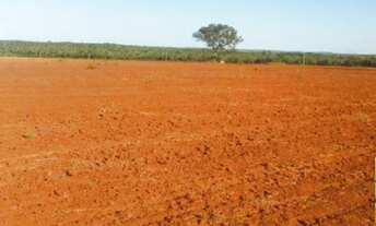 Imagem 6: Fazenda/sítios/chácaras com 3 dormitórios à venda em Dois Irmãos Do Tocantins