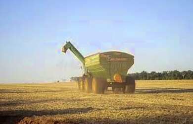 Imagem 4: ET - Rural Investimento - Compra de Fazenda - Milho Gado Soja Trigo