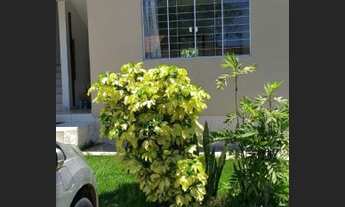 Imagem 6: Alugo apto no Rio Tavares, próximo à Dupão