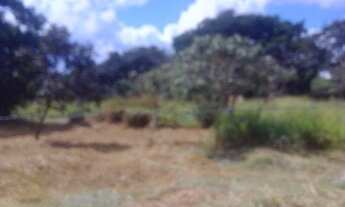 Imagem 2: Terreno à venda, 1000 m² por R$ 450.000,00 - Várzea - Lagoa Santa/MG