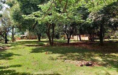 Imagem 6: Vendo Chácara Chácara com venda por R$420.000