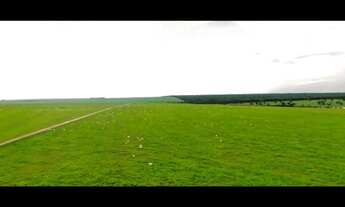 Imagem 2: Fazenda à venda, 10830 hectares por R$ 200.000.000 - Zona Rural - Canarana/MT