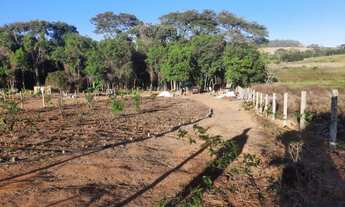 Imagem: Vendo Chácara no município de Nerópolis