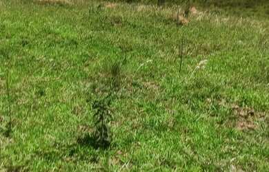 Imagem 7: Preços baixos terrenos na planta venha conferir