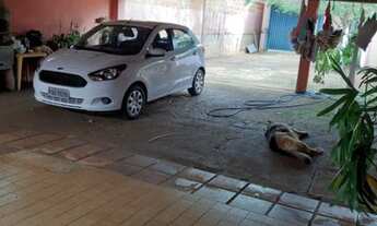 Imagem 5: Ribeirão Preto - Casa Padrão - Vila Virgínia