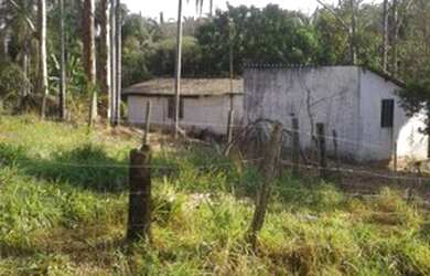 Imagem 7: Fazenda Serra de São vicente - Venda 91 km de Cuiabá