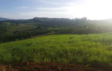 Imagem 5: Vendo meu terreno em Valor de desapego!