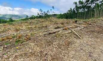 Imagem 3: Fazenda/Sítio/Chácara para venda ág1-possui 999 metros quadrados com 2 quartos