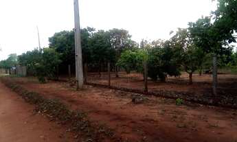 Imagem 5: Chácara em Terenos Comunidade Nova Aliança