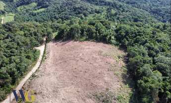 Imagem 5: Terreno para Venda em Campo Largo, Faxina