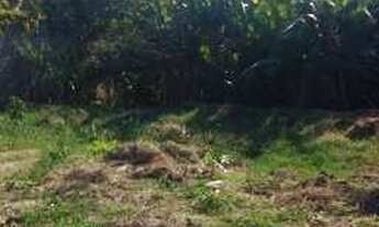 Imagem 4: Belo Horizonte - Loteamento/Condomínio - Ouro Preto