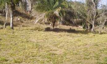 Imagem 5: Fazenda Serra de São vicente - Venda 91 km de Cuiabá