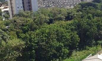 Imagem 7: Sorocaba - Apartamento Padrão - Vila Gabriel