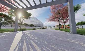 Imagem 7: Terreno região nordeste de Cascavel