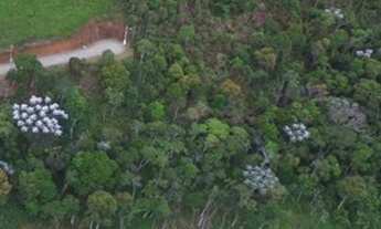 Imagem 6: Lote para venda na Barra do Imbuí - Teresópolis - RJ