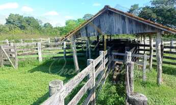 Imagem: Vendo ampla fazenda na região do OLHO D