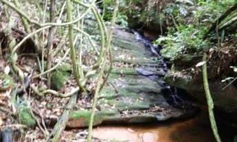 Imagem 2: Área à venda, 83652 m² por R$ 477.000,00 - Morungava - Gravataí/RS