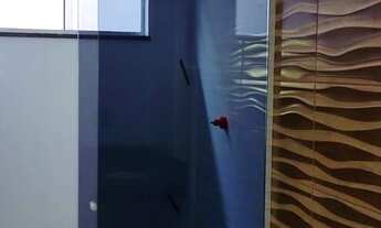 Imagem: Oportunidade única