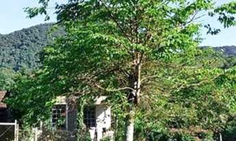 Imagem 7: Área agrícola em Cerro Branco RS Fazenda