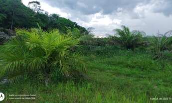 Imagem 5: R$ 960 mil reais 137 Hectares com 50 Hectares de dendê