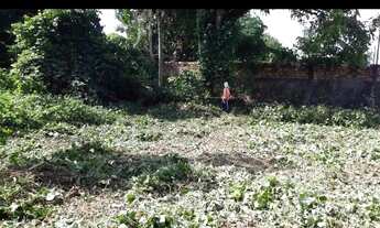 Imagem 3: Terreno murado outeiro