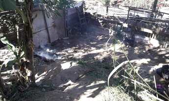 Imagem 3: Terreno Guarulhos 140 m2