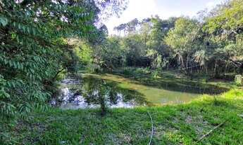 Imagem 6: Fazenda/Sítio/Chácara para venda possui 85962 metros quadrados em Jardim Karla - Pinhais