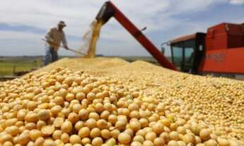 Imagem 6: ET - Rural Investimento - Compra de Fazenda - Milho Gado Soja Trigo