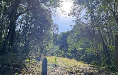 Imagem 4: Sítio Pedra do Elefante