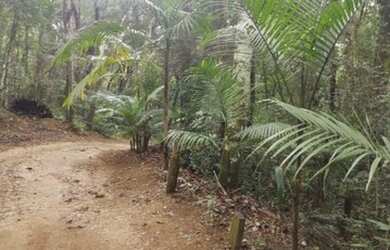 Imagem 4: SAO ROQUE - Terreno residencial - CAMPININHA (CANGUERA