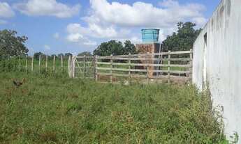 Imagem 5: Ótima Fazenda com 96 hectares na região vera cruz