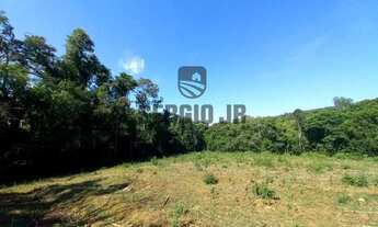 Imagem 7: Área de terra com 4h em Triunfo - Aceito veículo ou parcelamento