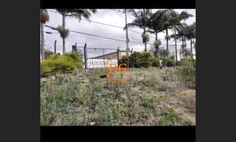 Imagem 3: Excelente Galpão