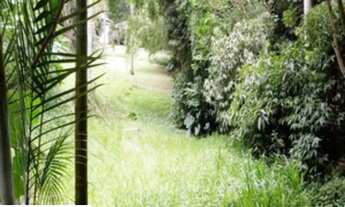 Imagem 3: 09064 - Terreno, VILA AMÉLIA - SÃO PAULO/SP